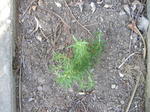 p6100024