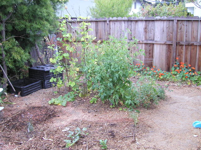 p7310004